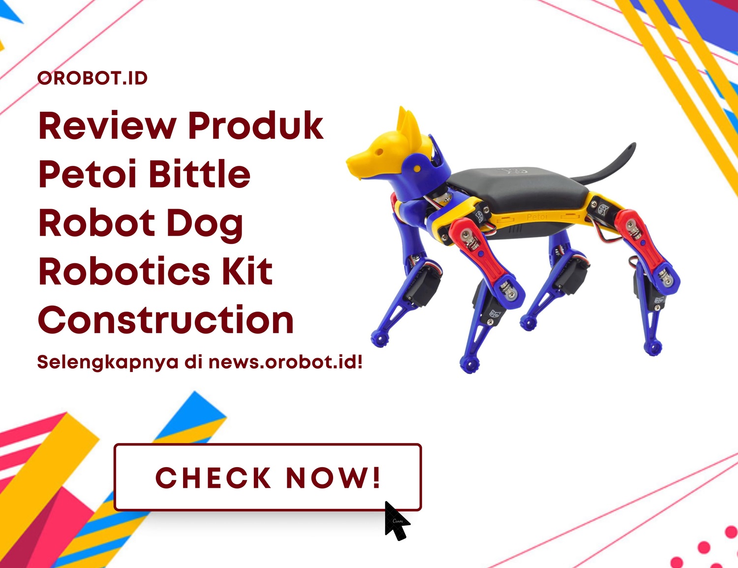 Review Petoi Bittle Robot Dog Robotics Kit Construction